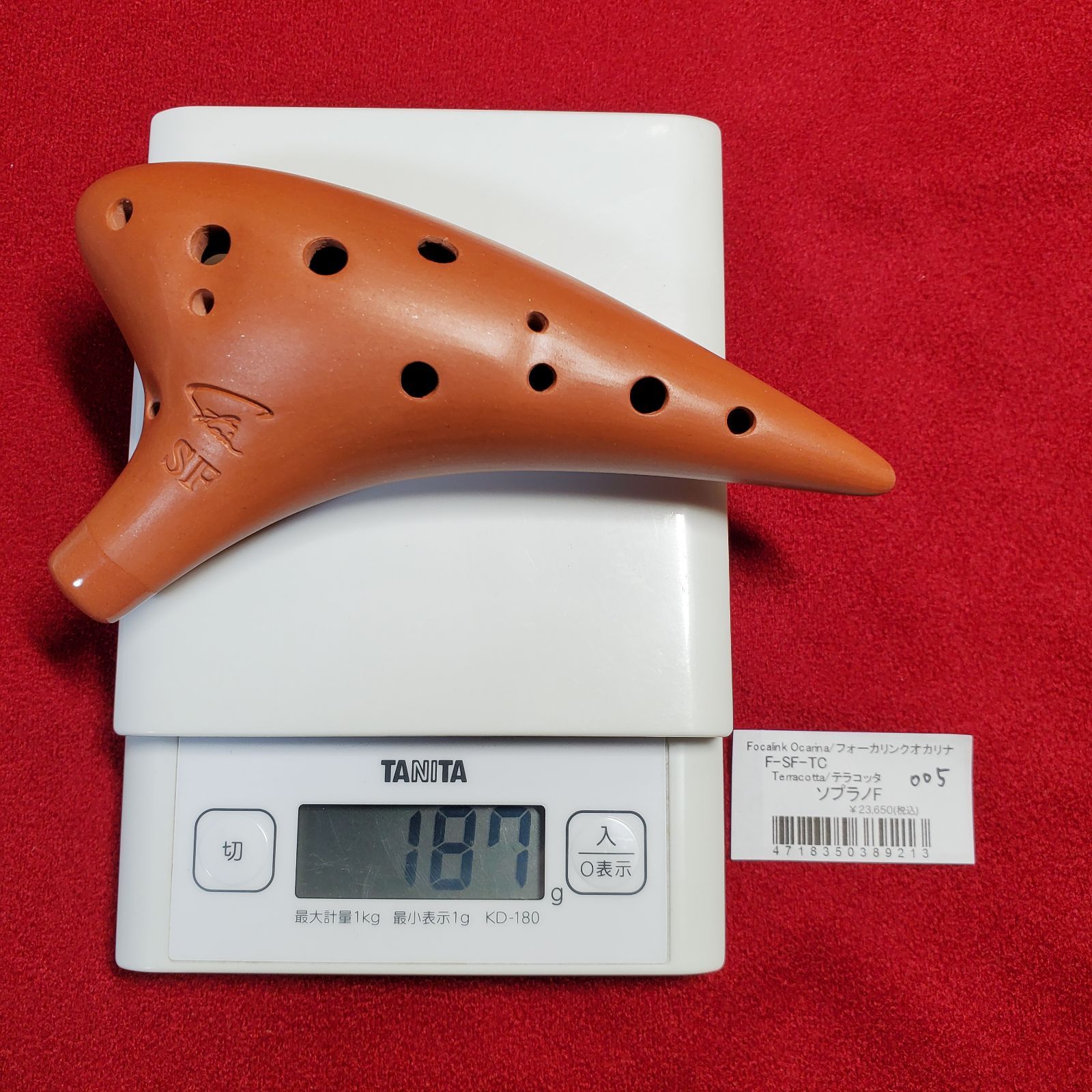 フォーカリンク テラコッタ SF