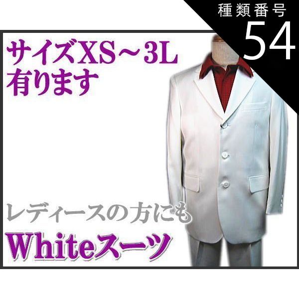種類54