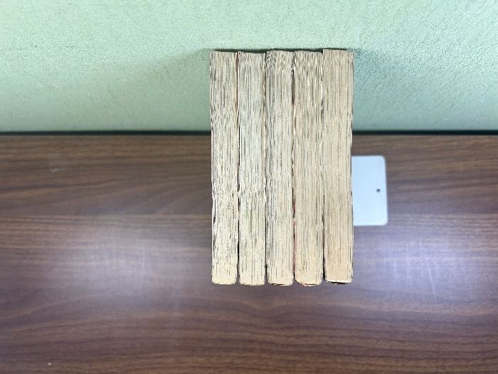 ガッデム 全巻セット1~5巻 (ビッグコミックス) 小学館 新谷