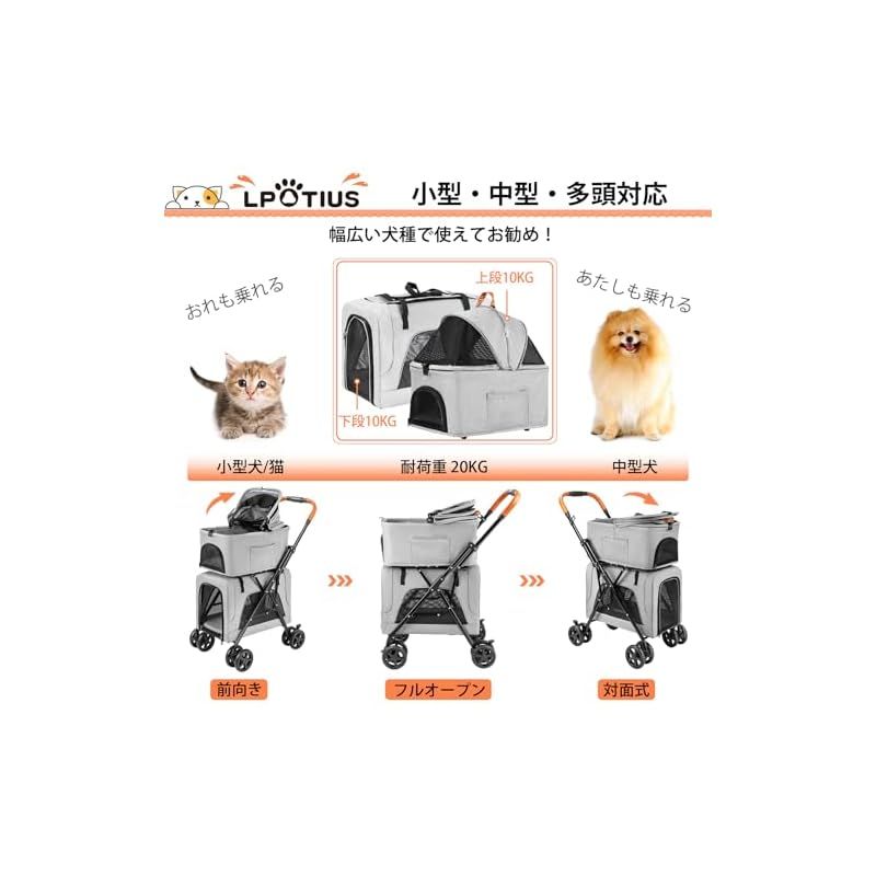 中型犬