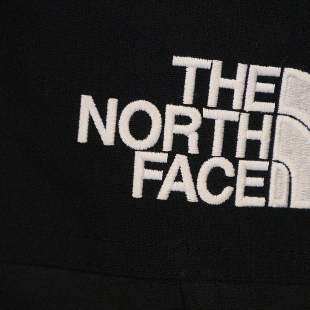 THE NORTH FACE (ザノースフェイス) MOUNTAIN DOWN JACKET GORE