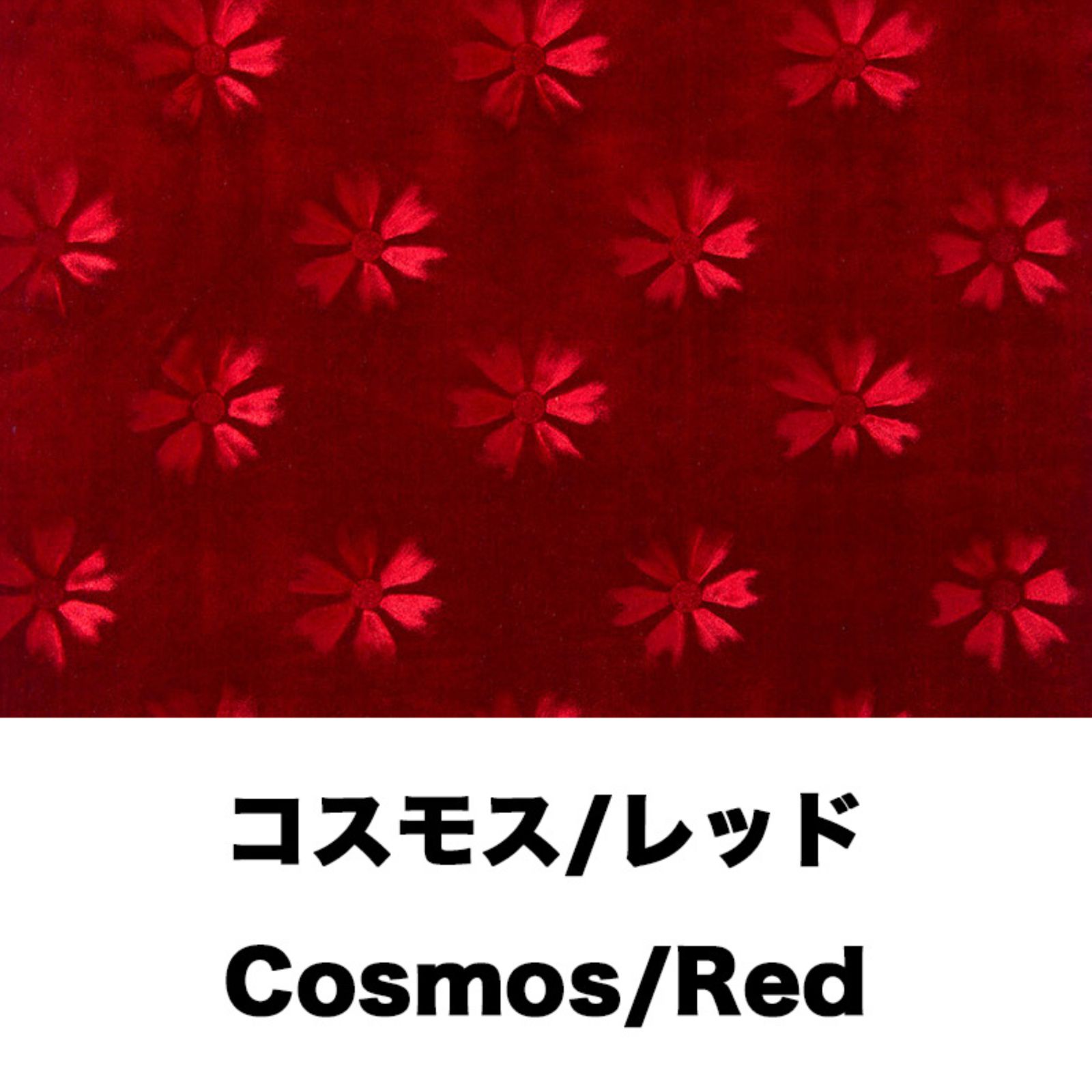 いすず モケット