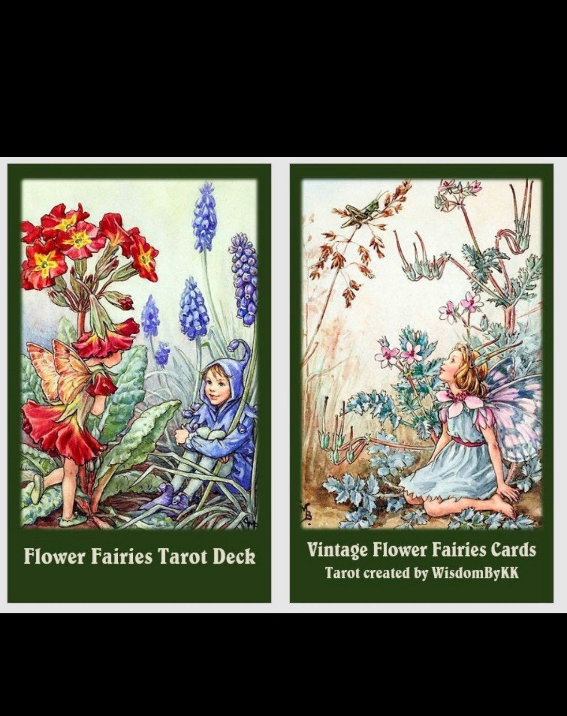 フラワーフェアリータロット Flower Fairies Tarot deck - メルカリ