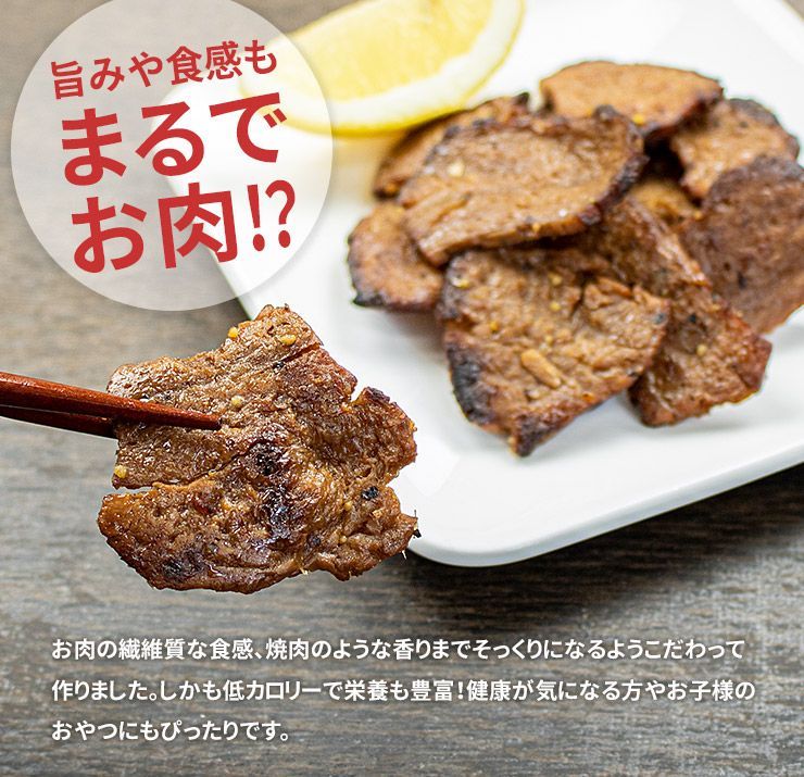 まるでタン塩 40g×4袋 ソイフィレ 大豆ミート ポスト投函  [[まるでタン塩-4p]