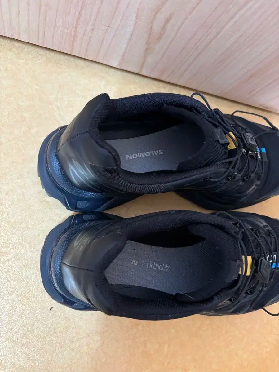 SALOMON サロモン