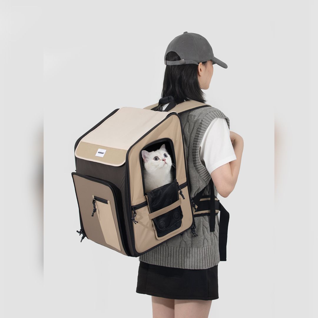 通気性 犬