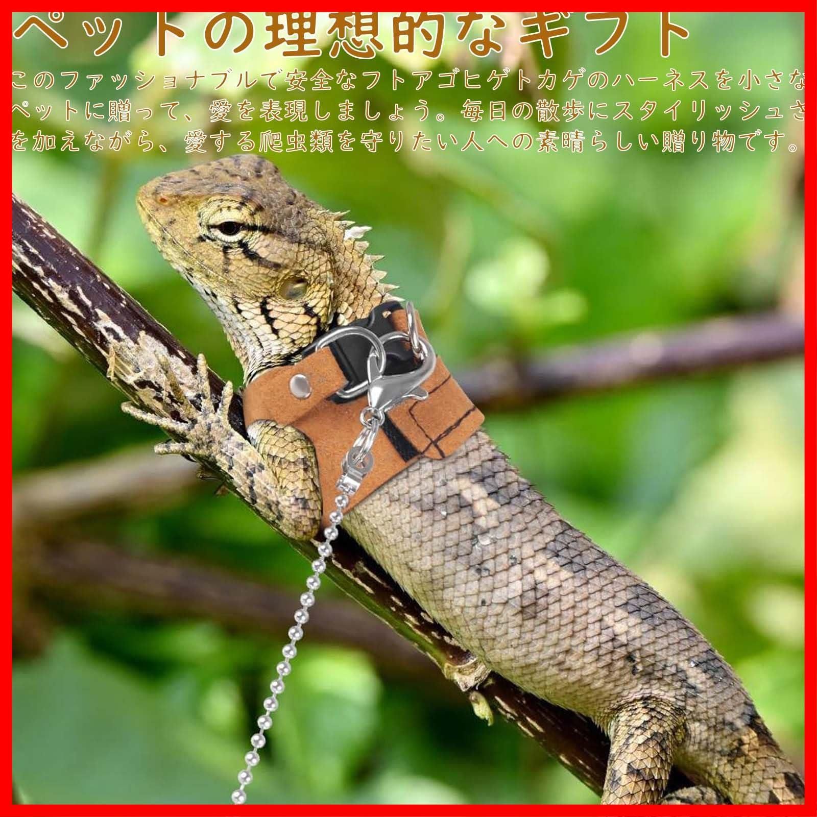 動物 Days Won EXOPEACE - 川口市西青木 - トリコカワグチ[川口市]