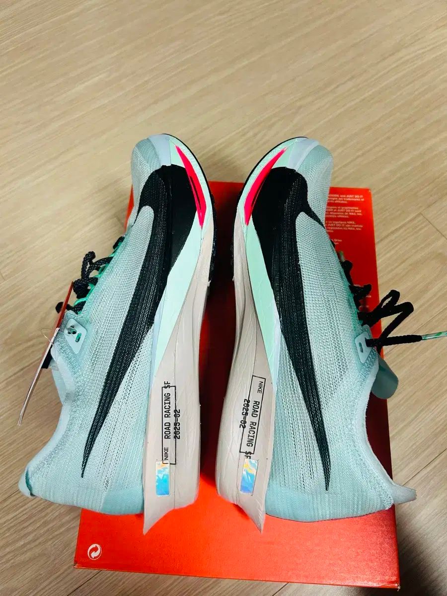 ストリックフライ2