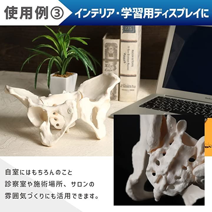 可動性