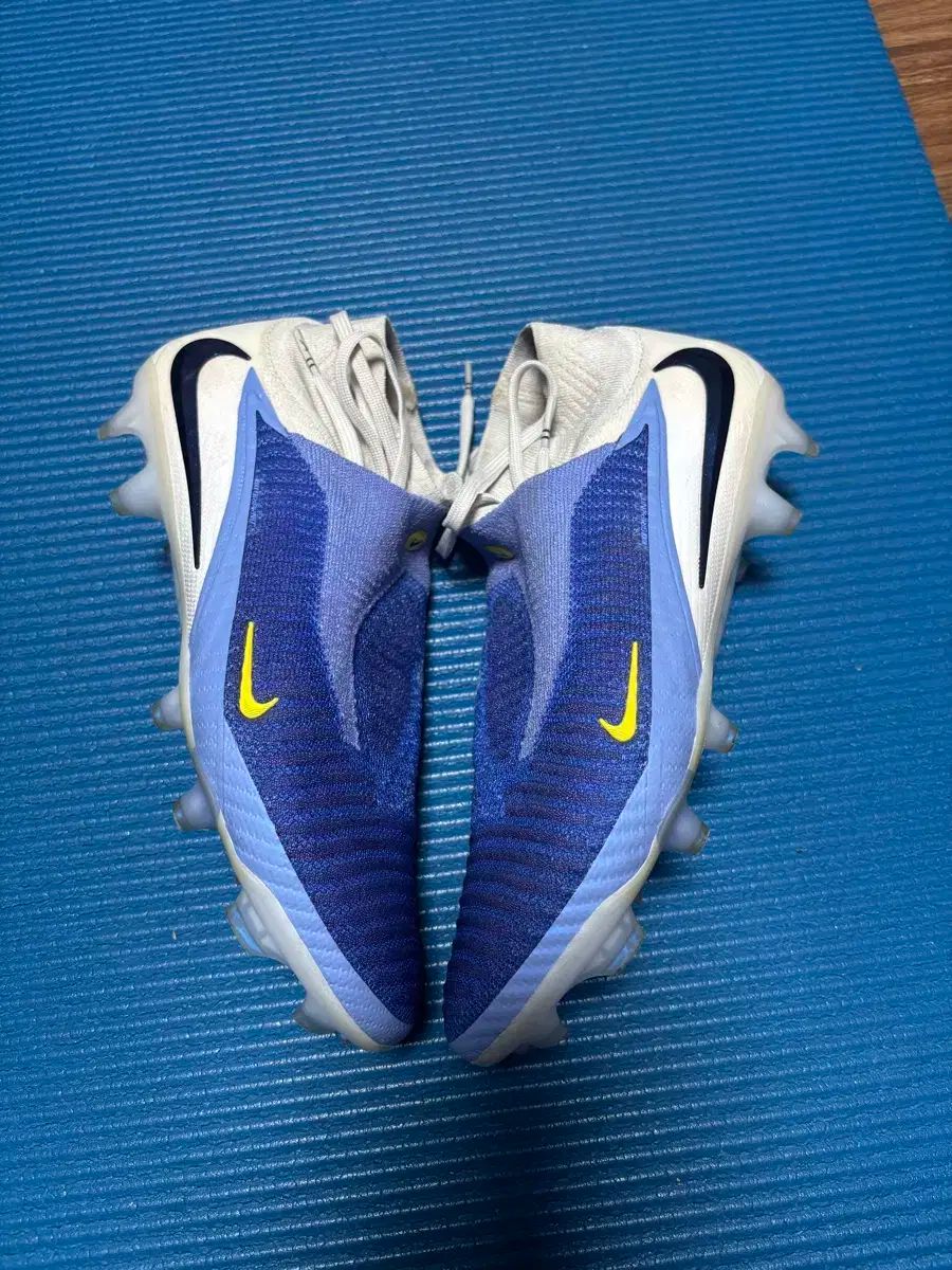 FANTOM 6 ハイ エリート FG LV8 LLC-HASEGAWATOSO_COM