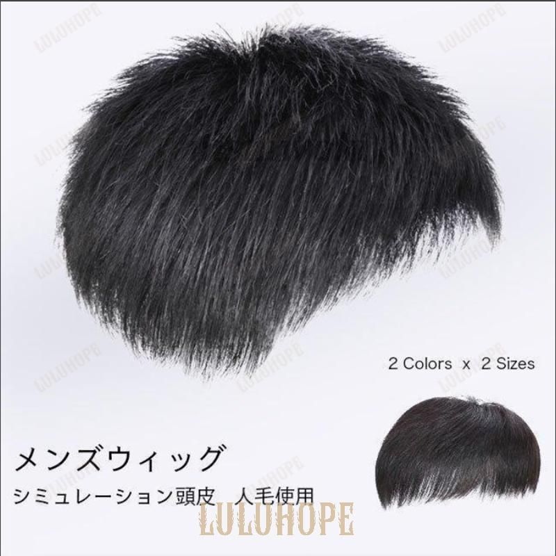 かつら メンズ ウィッグ 自然 セルフ増毛 人毛 部分ウィッグ 男性 薄毛対策 カツラ ショート エクステZYL780春の新定番