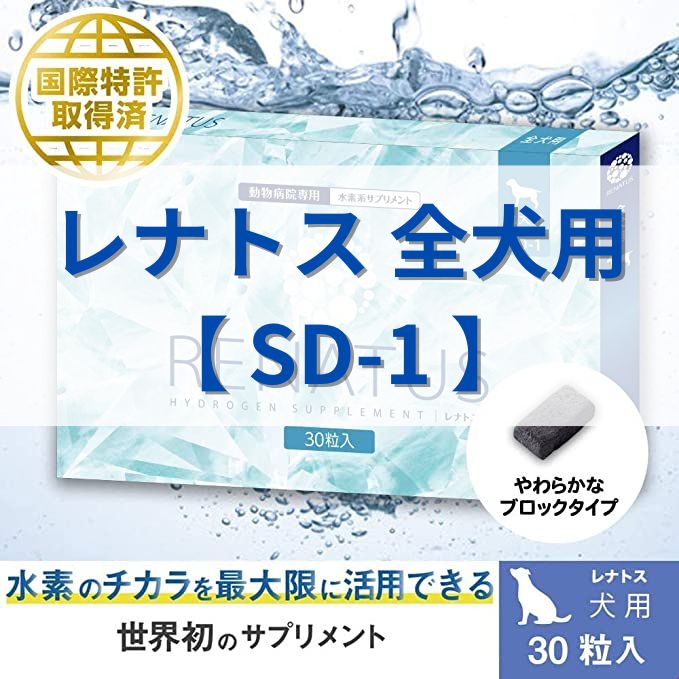 犬用総合サプリ】レナトス 全犬用 SD-1 使用期限：2024/6/30 - 万屋