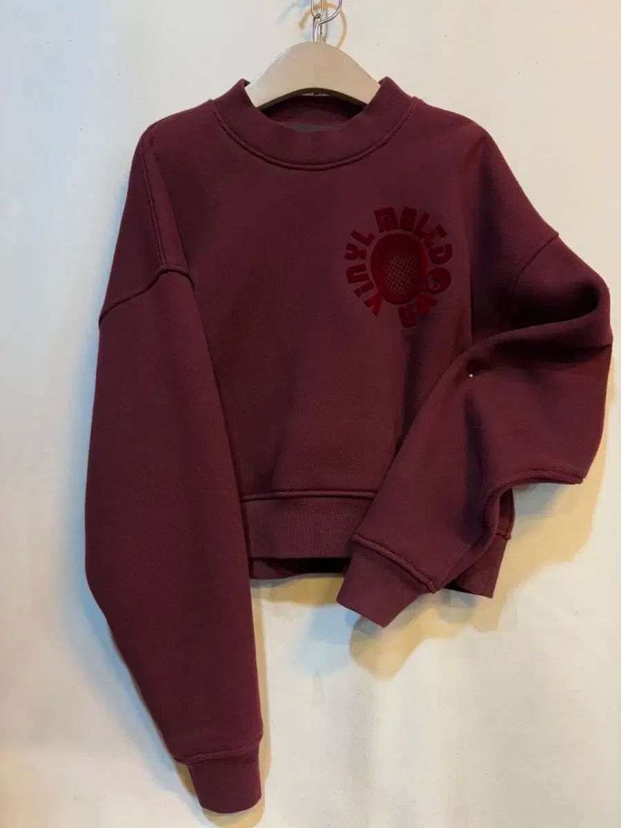 Alexander Wang アレキサンダーワング 起毛 クロップドパーカー 55-88サイズ