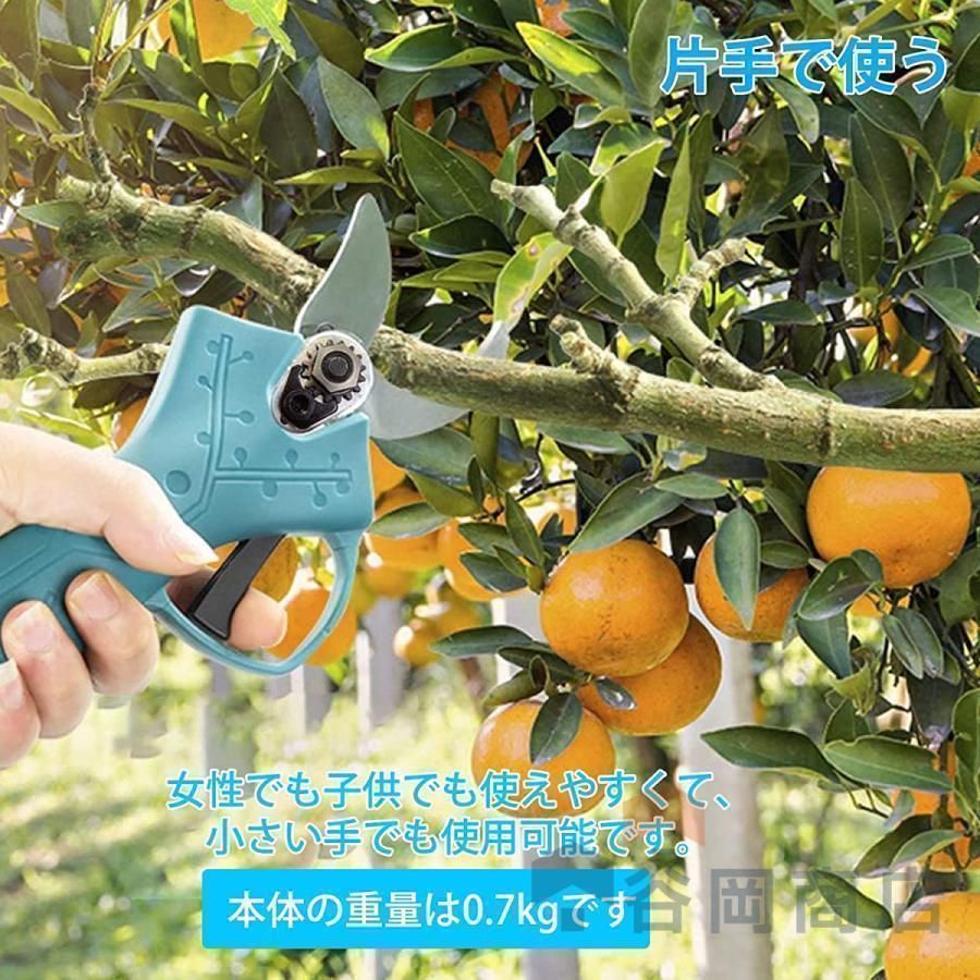 剪定バサミ 枝切ばさみ
