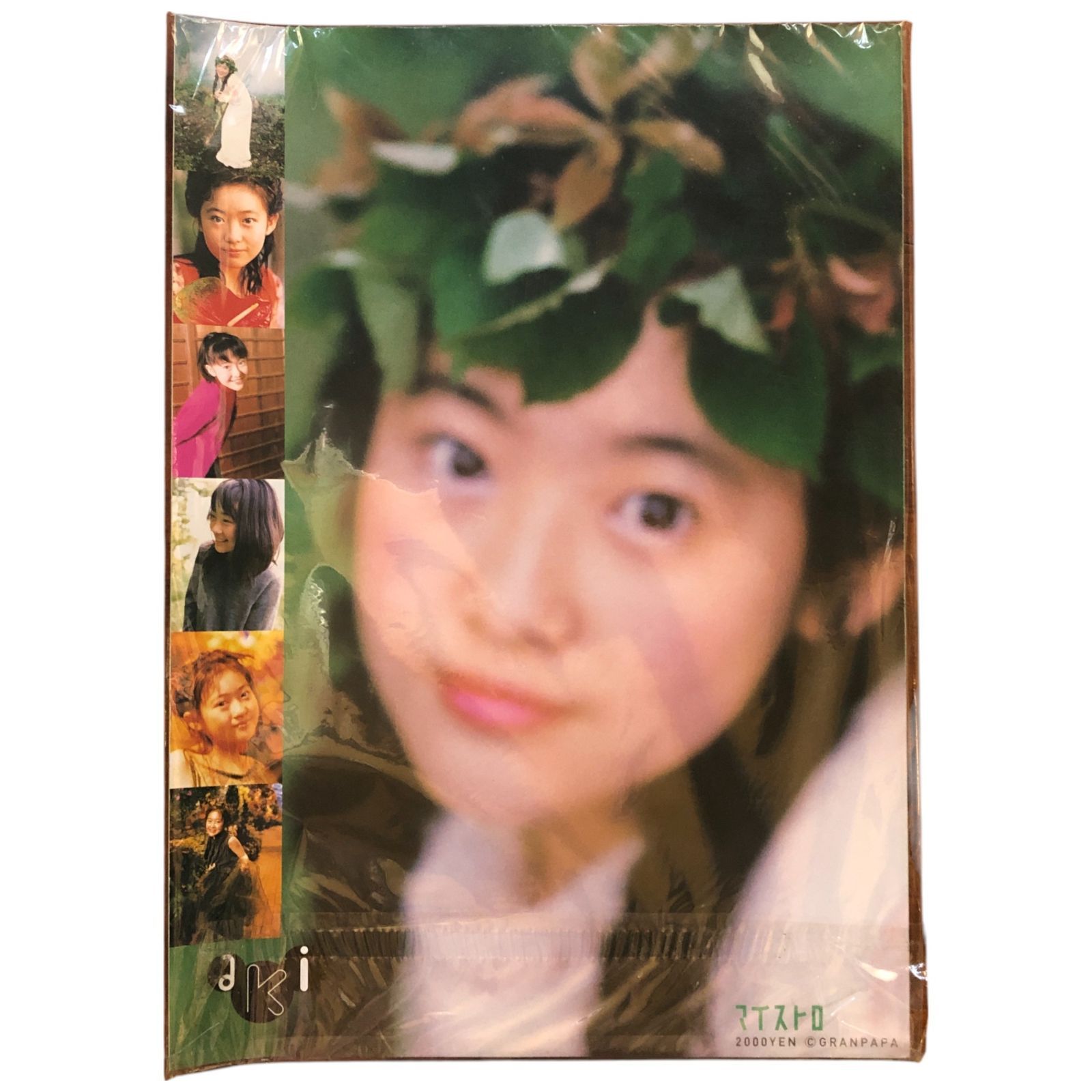 前田亜季 1999年 カレンダー マイストロ 42×30cm ☆写真集 dd4に