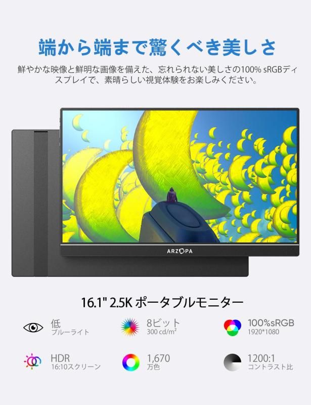 16.1インチ