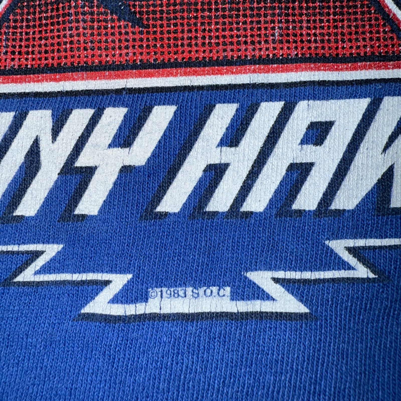 か*う様 【オールド ビンテージSK8】POWELL トニーホーク ロンT か*う様 【オールド ビンテージSK8】POWELL トニーホーク ロンT