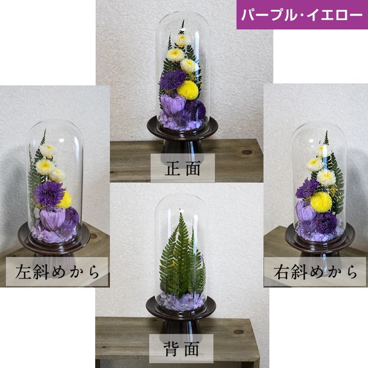 ガラスドームで長持ち パープル