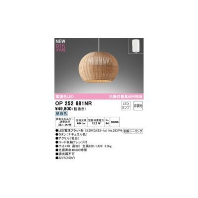  【新品・7営業日以内発送】オーデリック ODELIC OP252681NR ランプ別梱包【沖縄離島販売不可】 その他