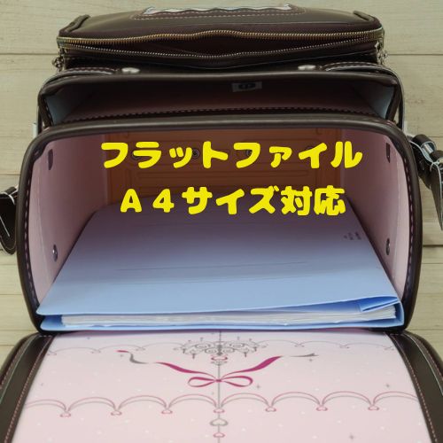 FE-2913 パールボルドー