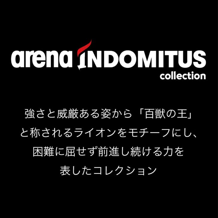競技水着 インドミトゥス
