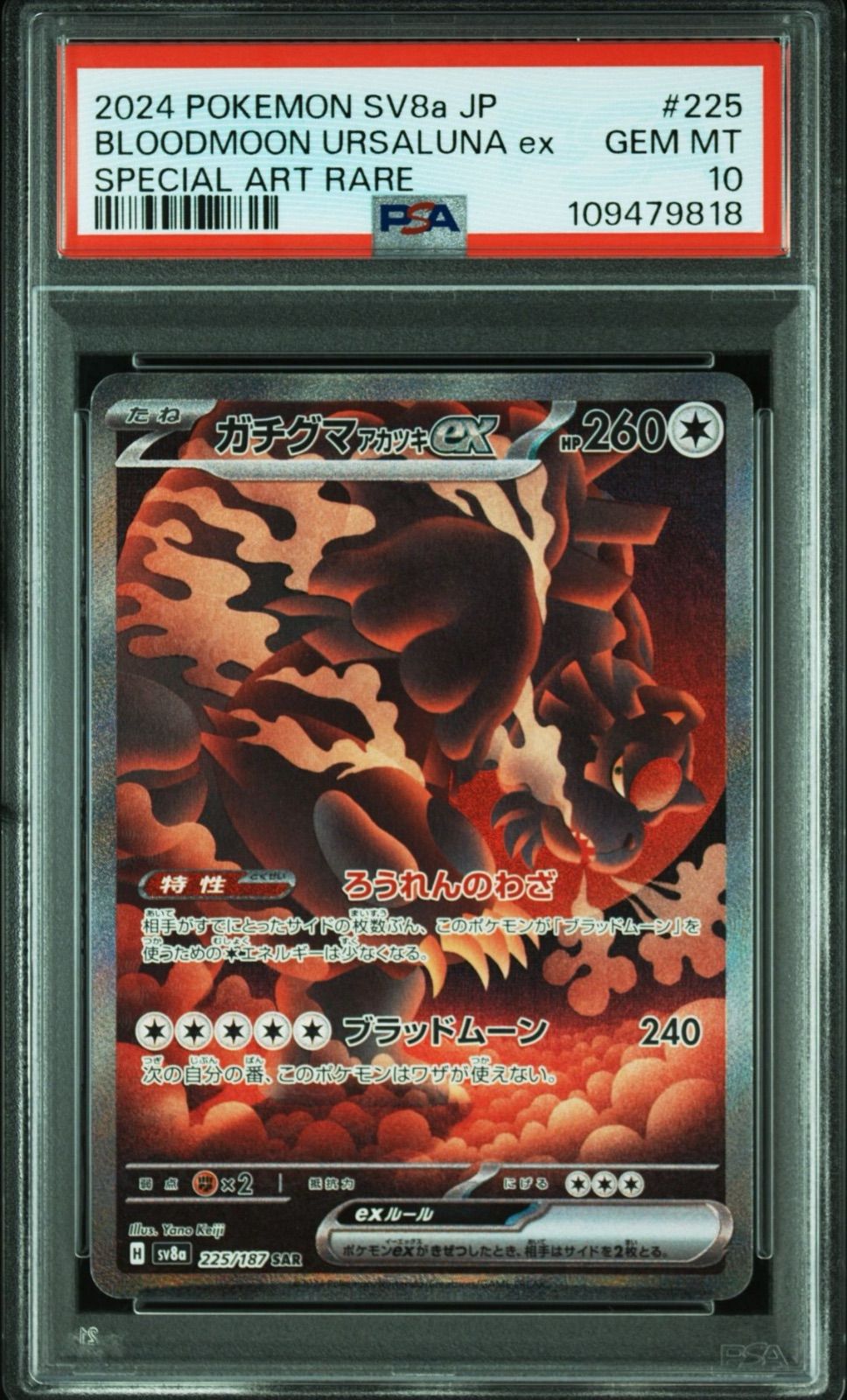 PSA10】 2連番 ガチグマアカツキex SAR クリムゾンヘイズ テラスタル