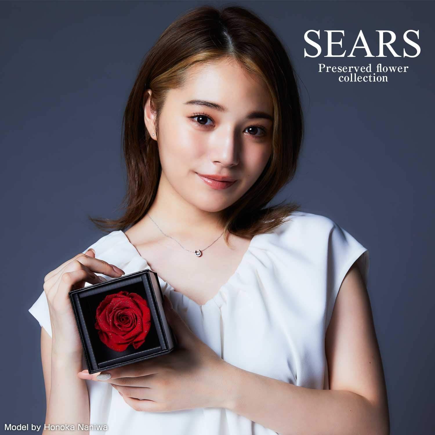 色名: アンティークレッド】シアーズ Sears 薔薇 一輪 ダイヤモンド