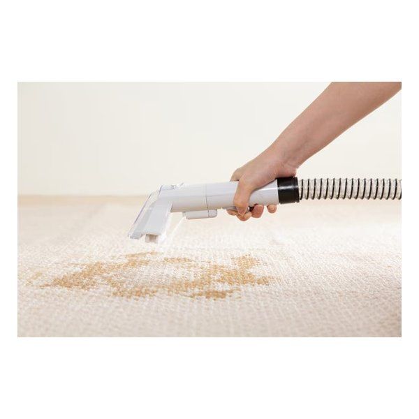 IRIS OHYAMA アイリスオーヤマ リンサークリーナー 電動ポンプ付 布製品洗浄機 ホワイト RNS-P10-W 2521494 WWW_KANDAIZUMI_COM