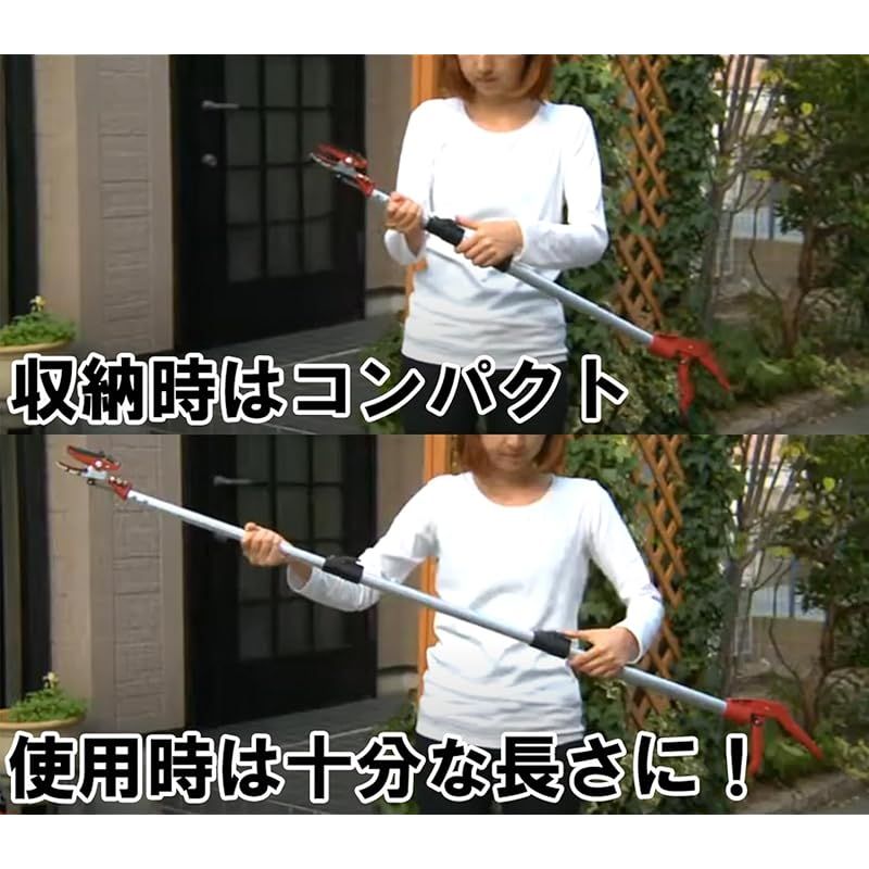伸縮