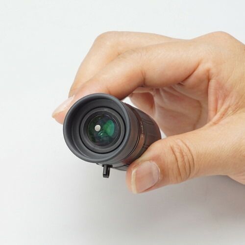 ブラック ケンコートキナー