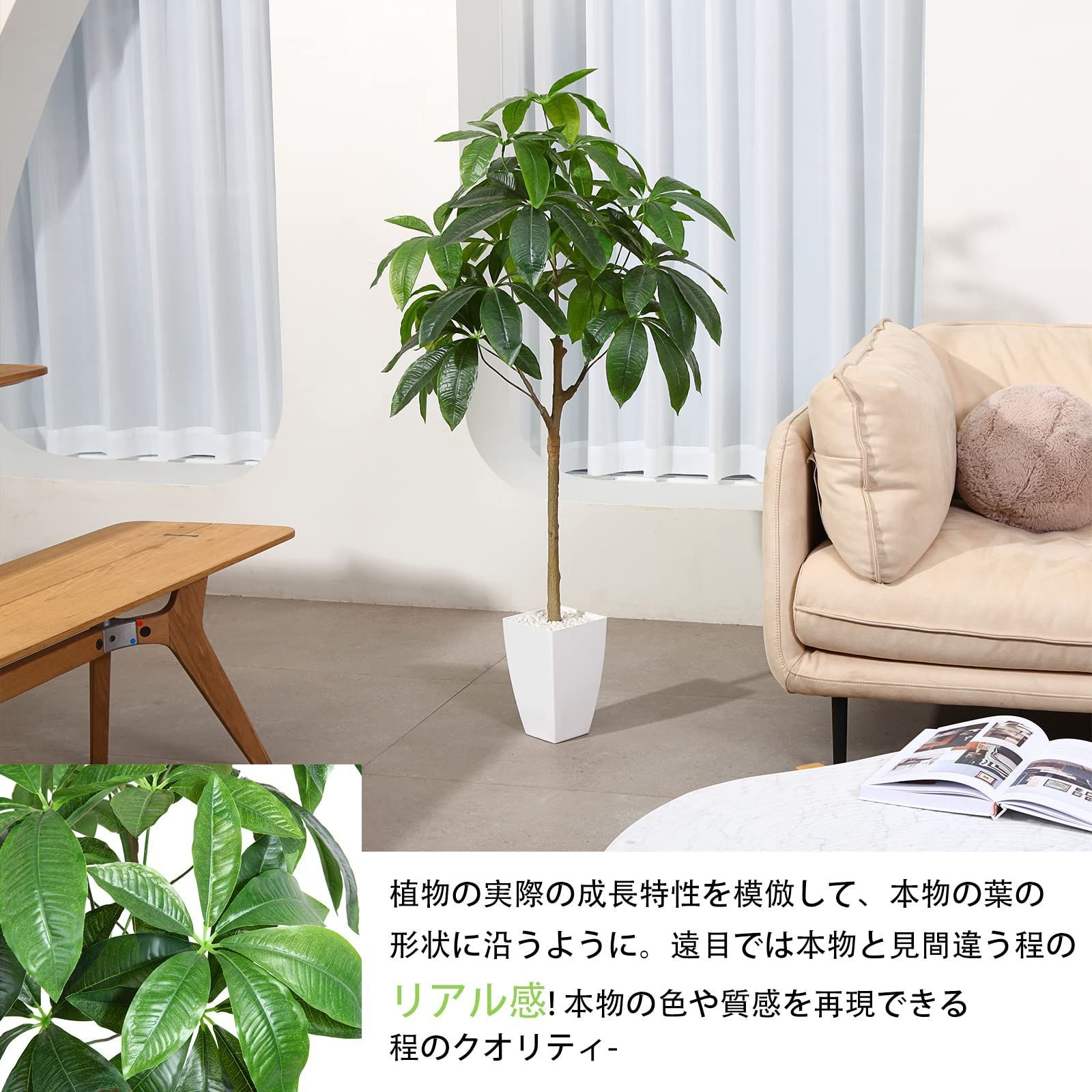 水やり不要 虫害の心配なし