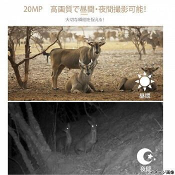 フルハイビジョン赤外線センサー暗視カメラ