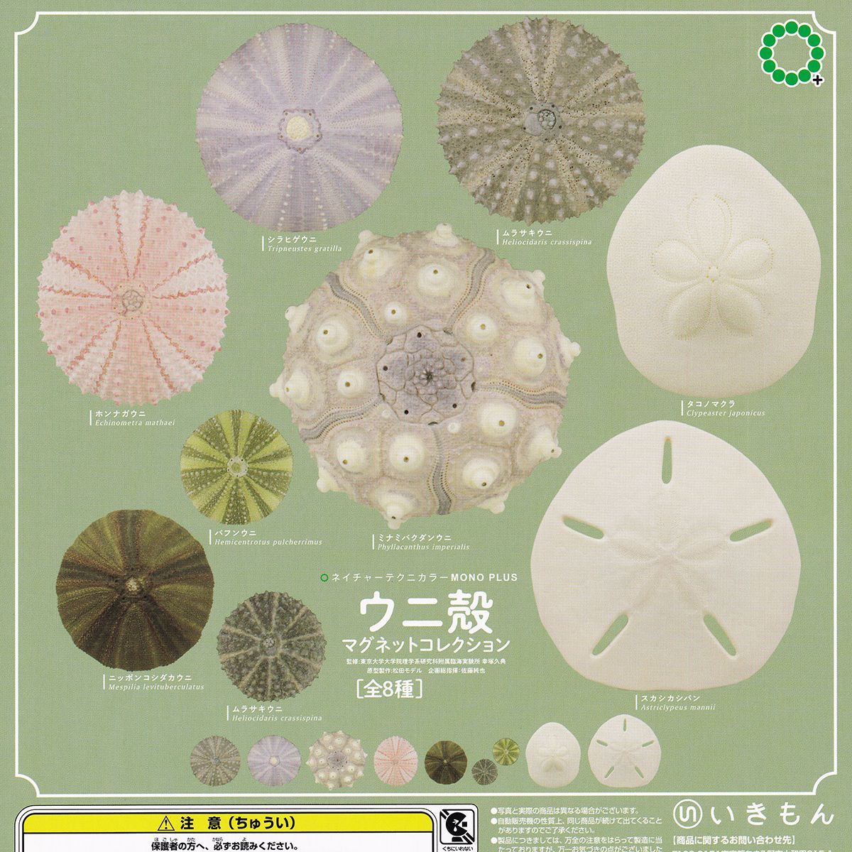 全８種フルコンプセット＋ＤＰ台紙おまけ付き