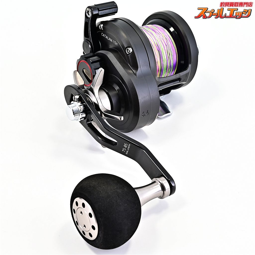 ダイワ 19キャタリナ 15 H DAIWA m 42656