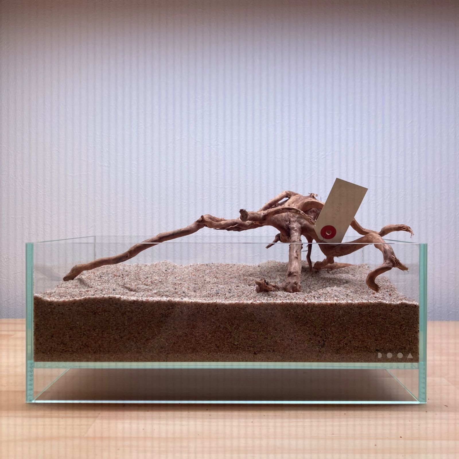 ブランチウッド系流木【セレクト品】007 - メルカリ