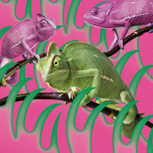 新品未開封レアグッズ】石野理子 「自画像」Tシャツ 2025年最新】石