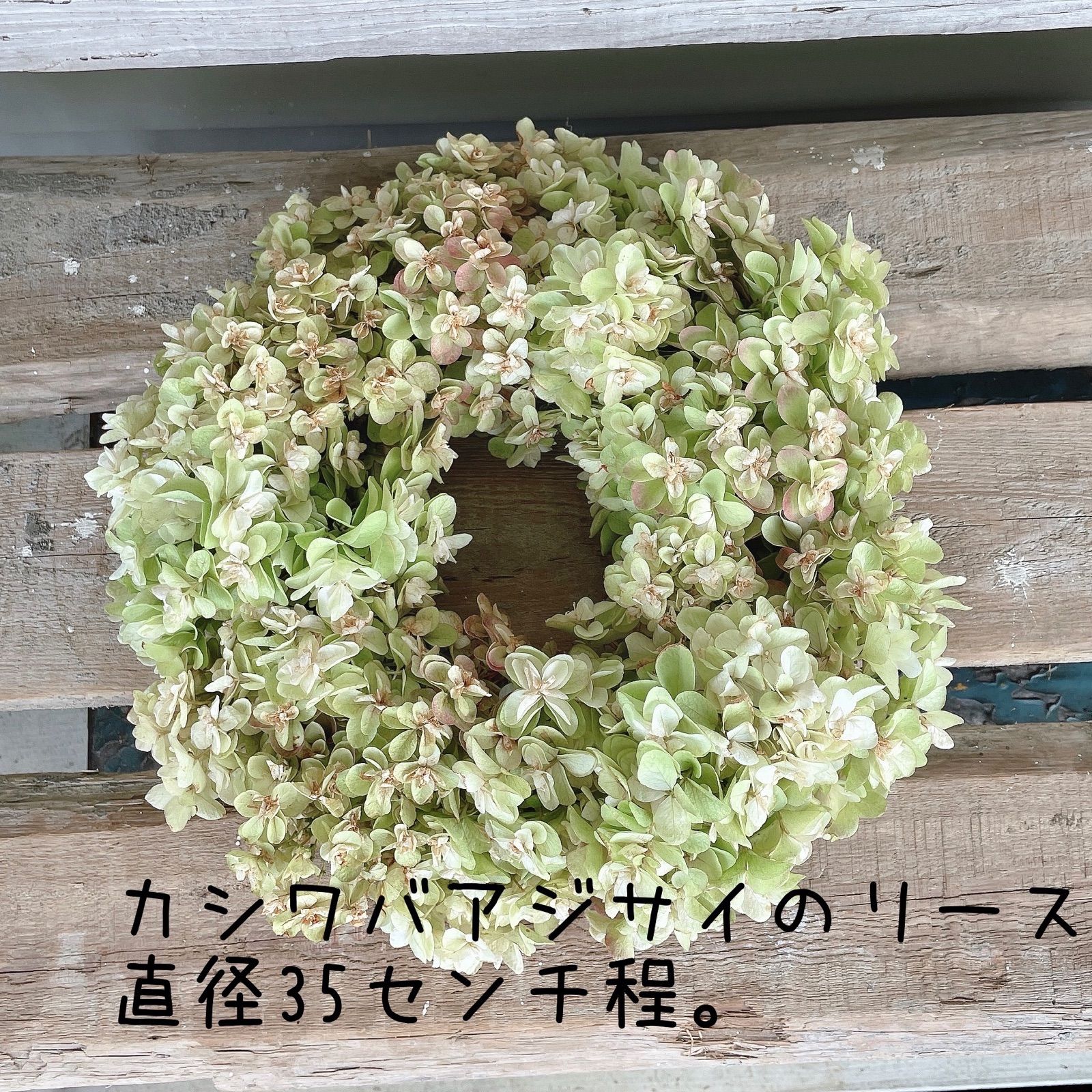 カシワバアジサイのリース - メルカリ