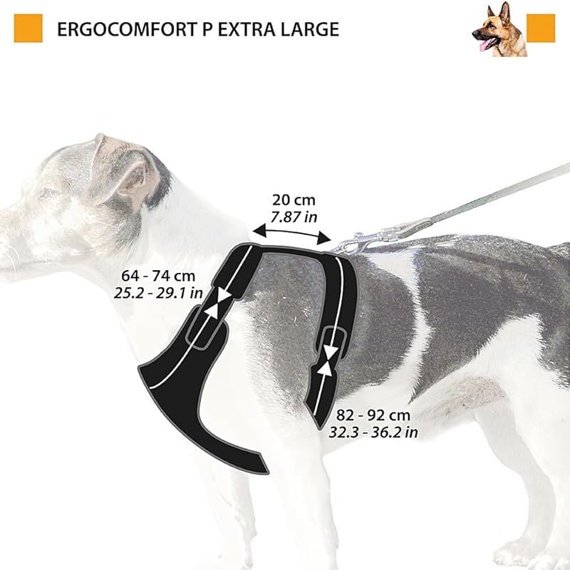 超大型犬
