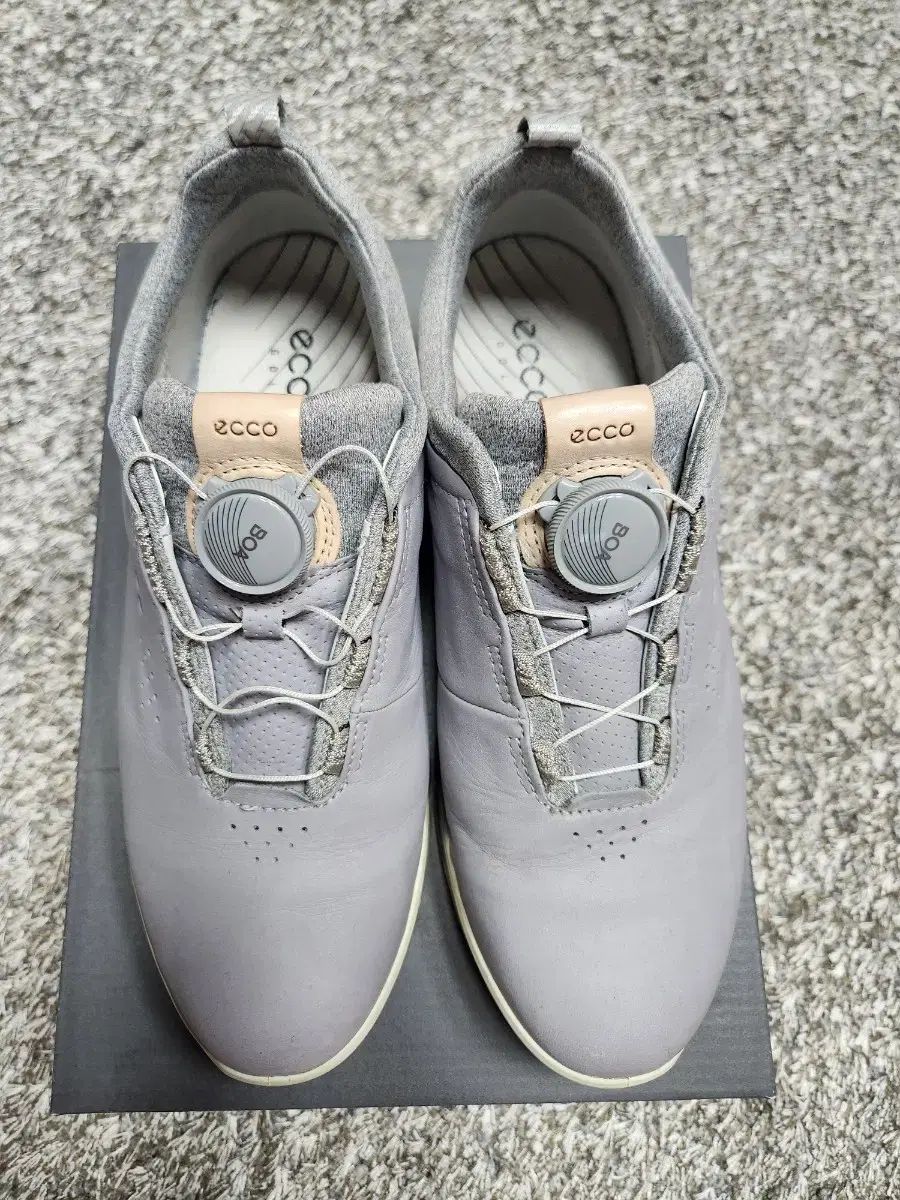 Ecco(エコー) S 三 ボア ゴルフシューズ サイズ 250