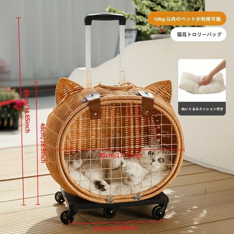 小型犬