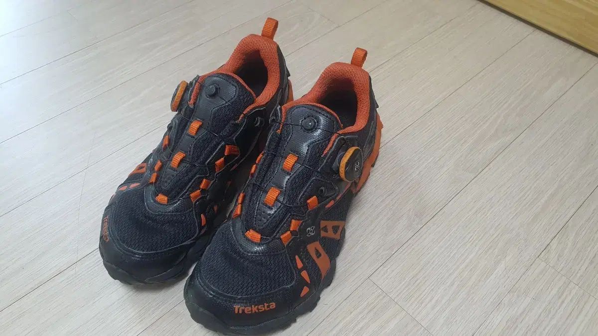 Treksta トレクスタ コブラ GORE-TEX ゴアテックス トレッキングシューズ 250 サイズ