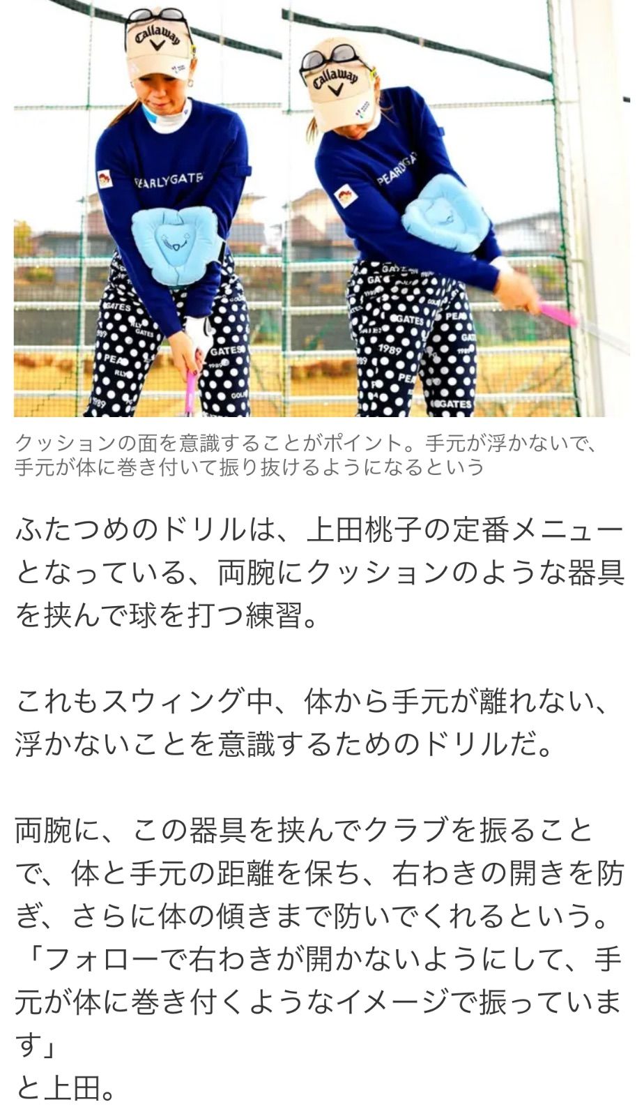 ☆正規品☆Tabata(タバタ) ゴルフ 素振りトレーニング 練習器具