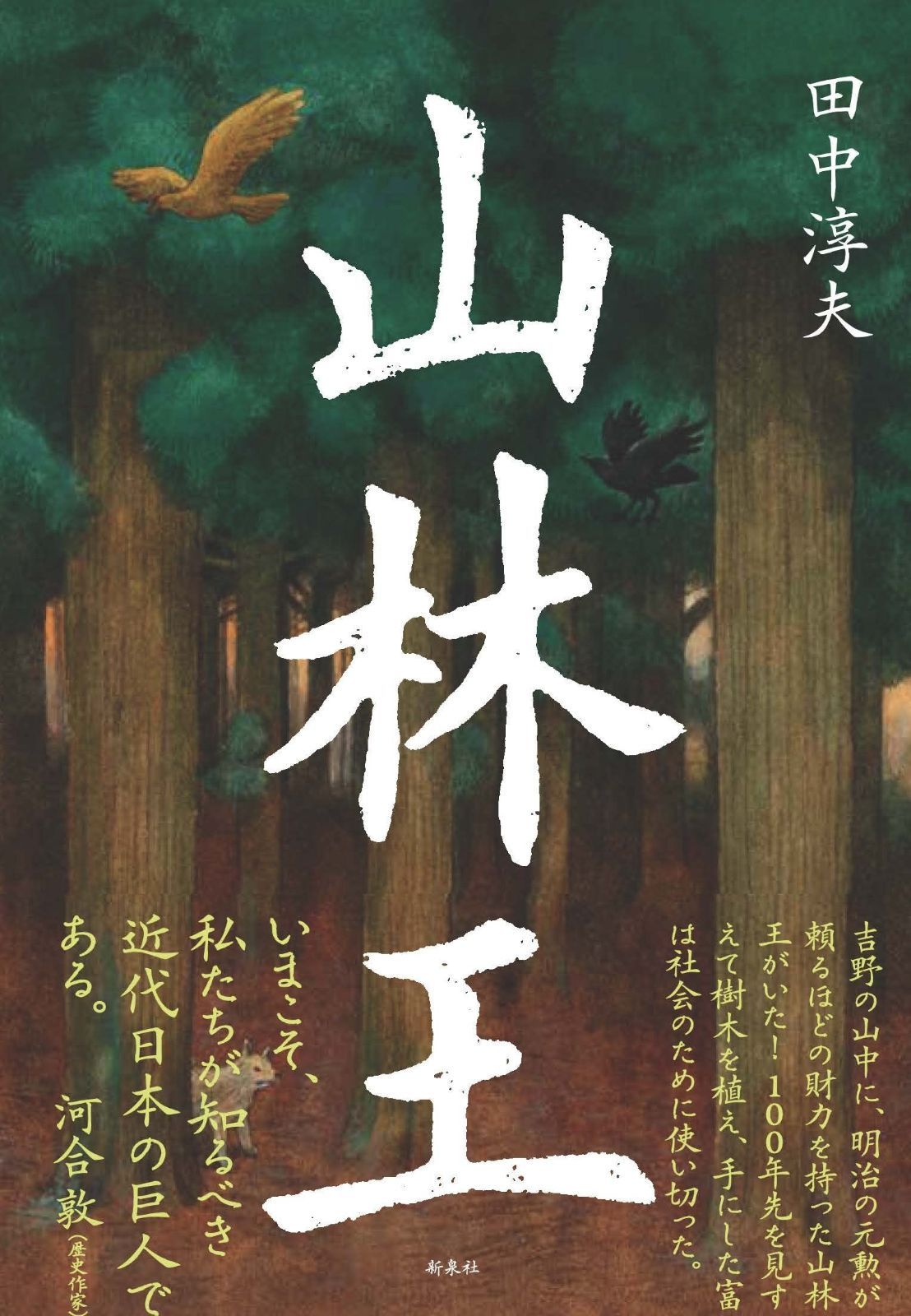 鉄 葵 鍔 越前住記内作 江戸時代 MA210