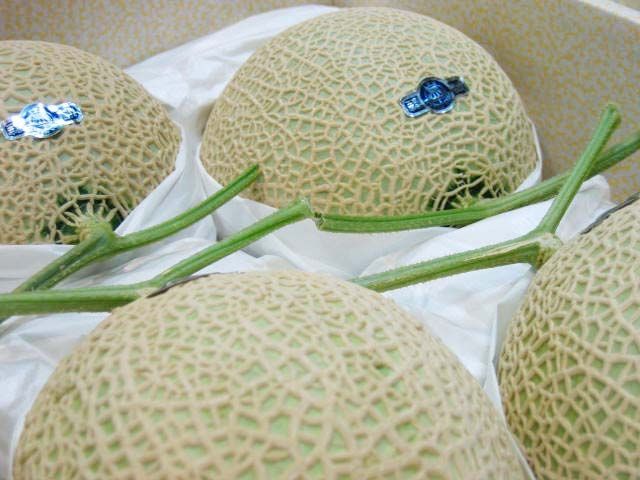 静岡県産