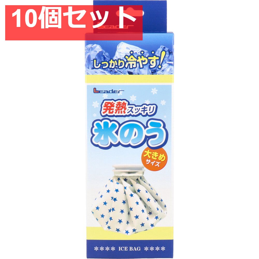 リーダー 発熱スッキリ 氷のう 大きめサイズ 1個入 10個セット