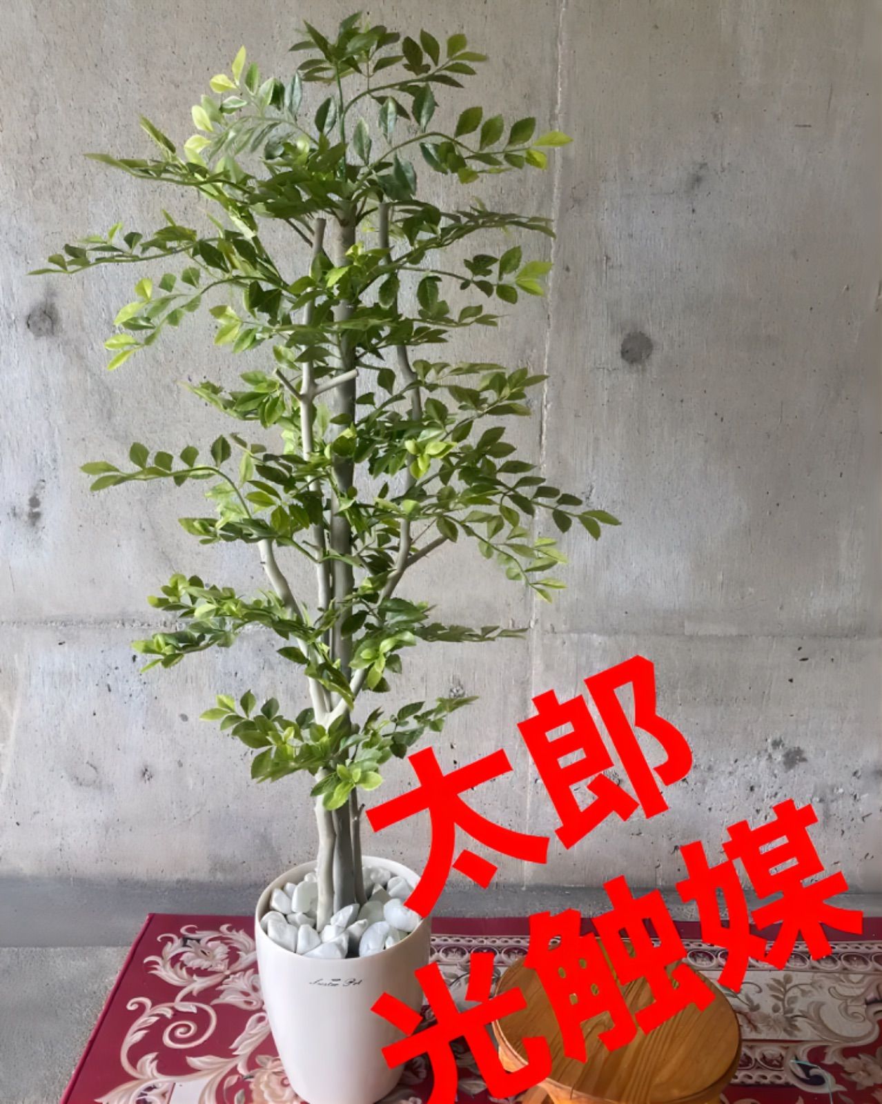 光触媒 人工観葉植物 ウォールグリーン フェイクグリーン ユッカツリー ...