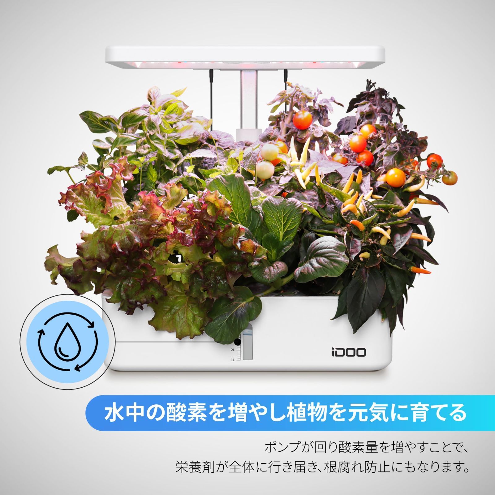 ホワイト