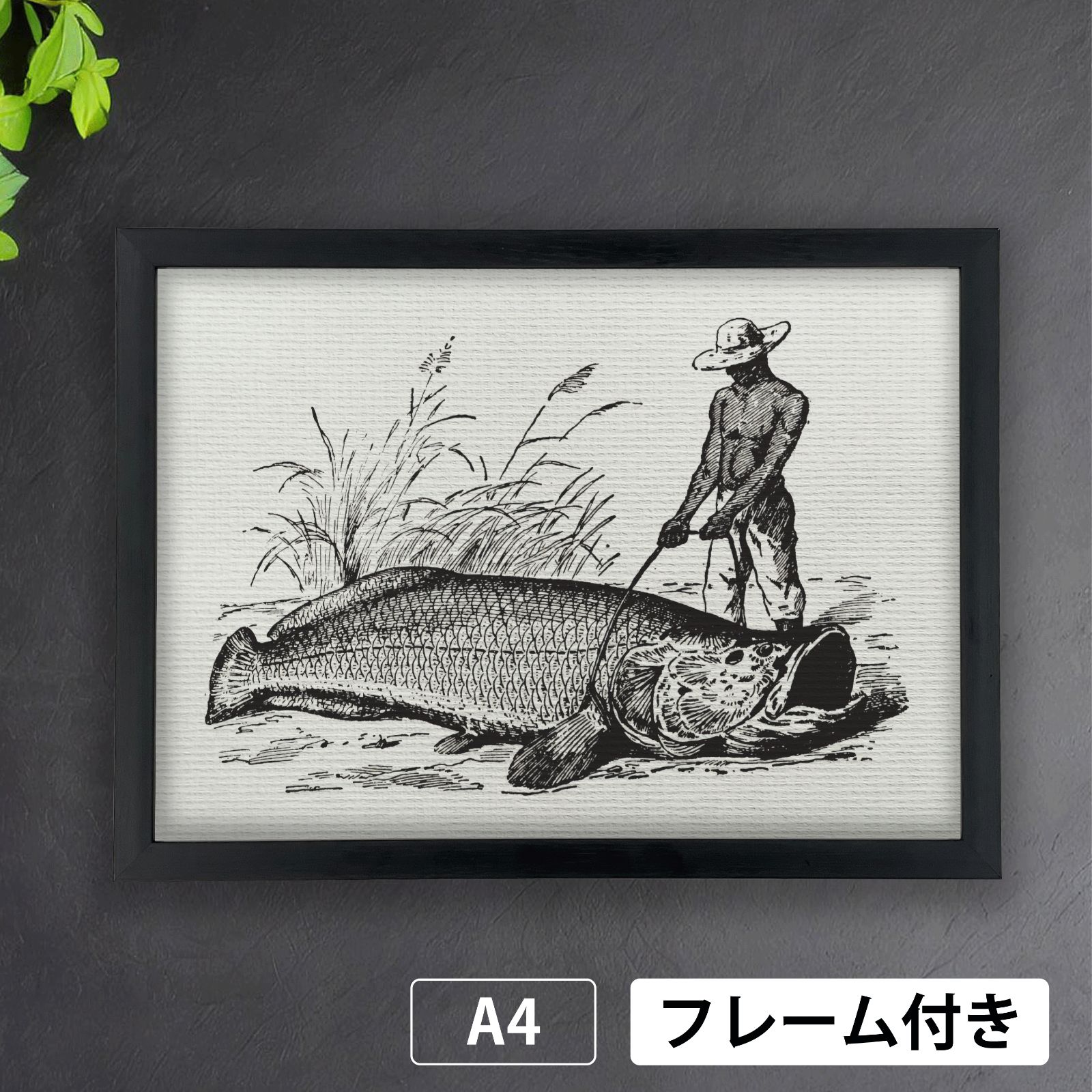 GARCIA LLAMAS（グラシア　ラマス）、面、希少な額装用大判画集画 ピラルク（Arapaima gigas）を捕えた男 1800年代のイラストより