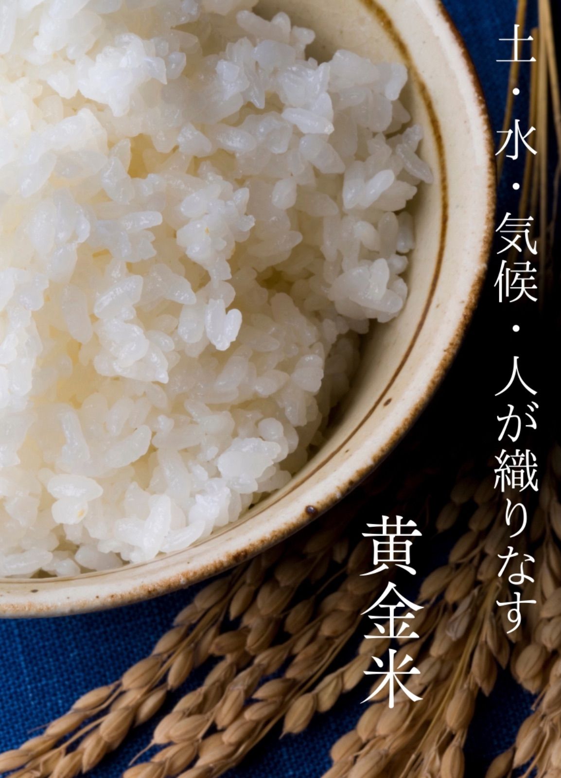 伊佐米 10キロ 鹿児島県産　新米(令和3年) 天然水仕立ての特別栽培米