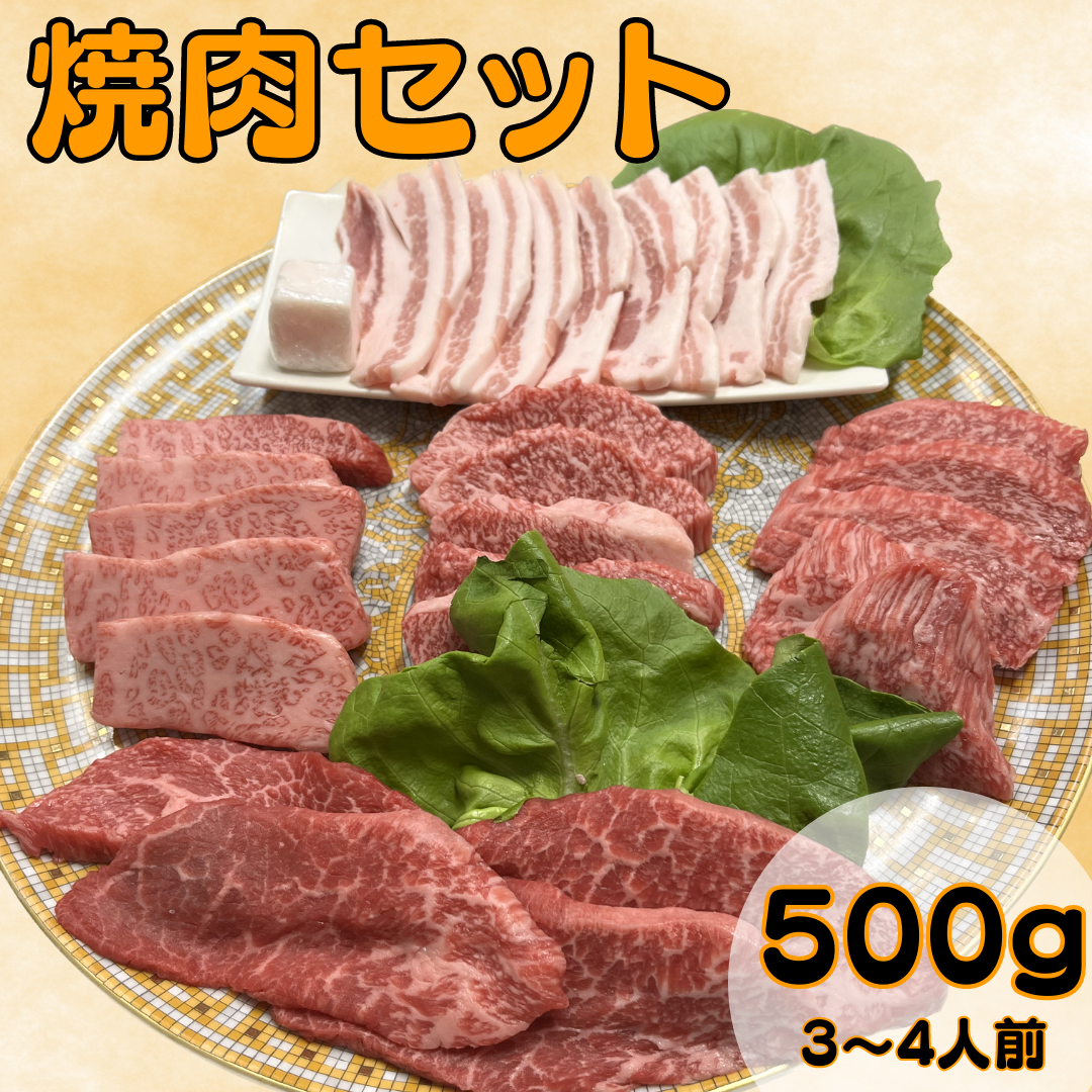 スタンダード焼肉セット500ｇ★3～4人分★国産黒毛和牛A5★国産豚★焼肉★BBQ